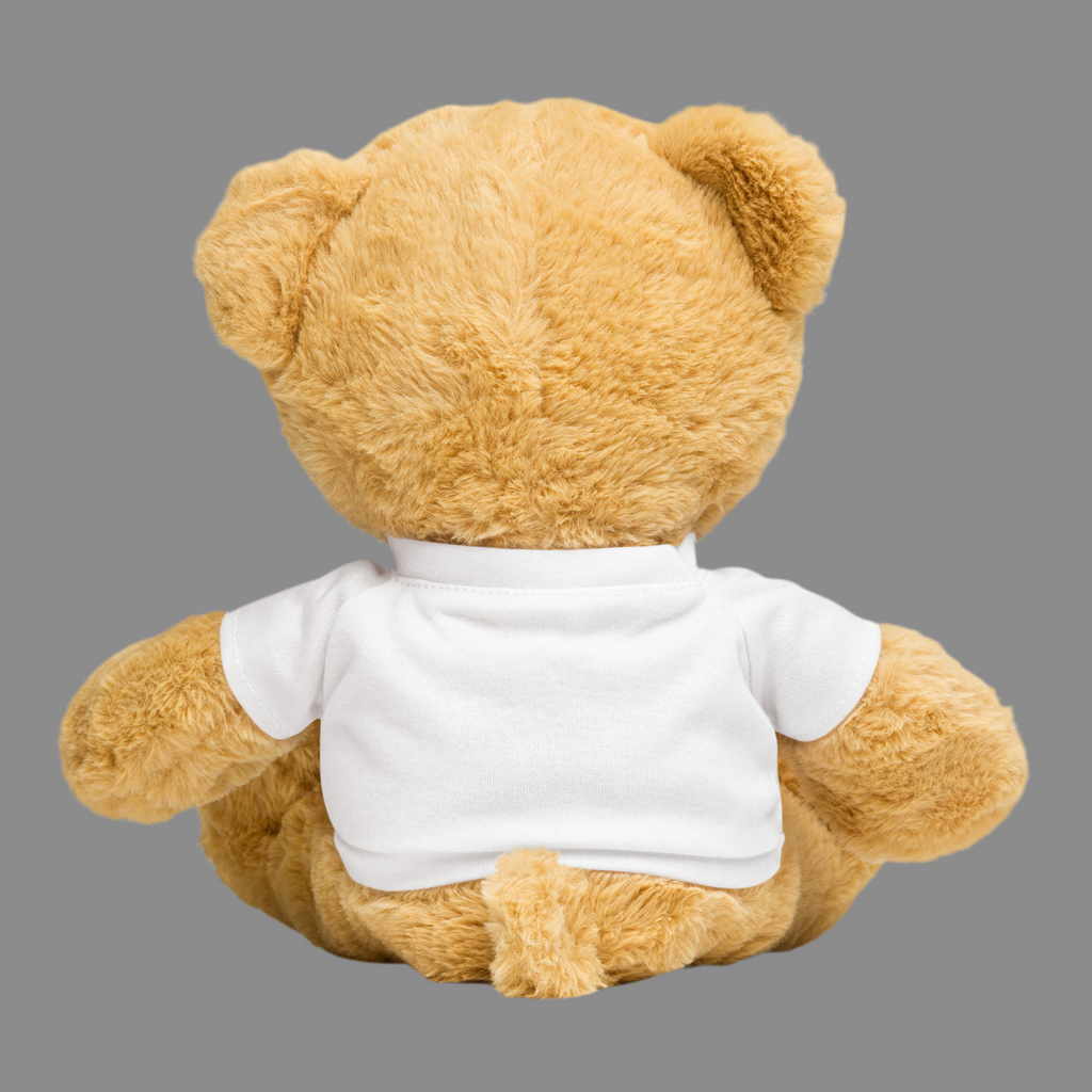 Teddy bear with a t-shirt